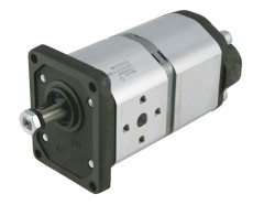 Насос шестеренный GHPC2-D-25/20